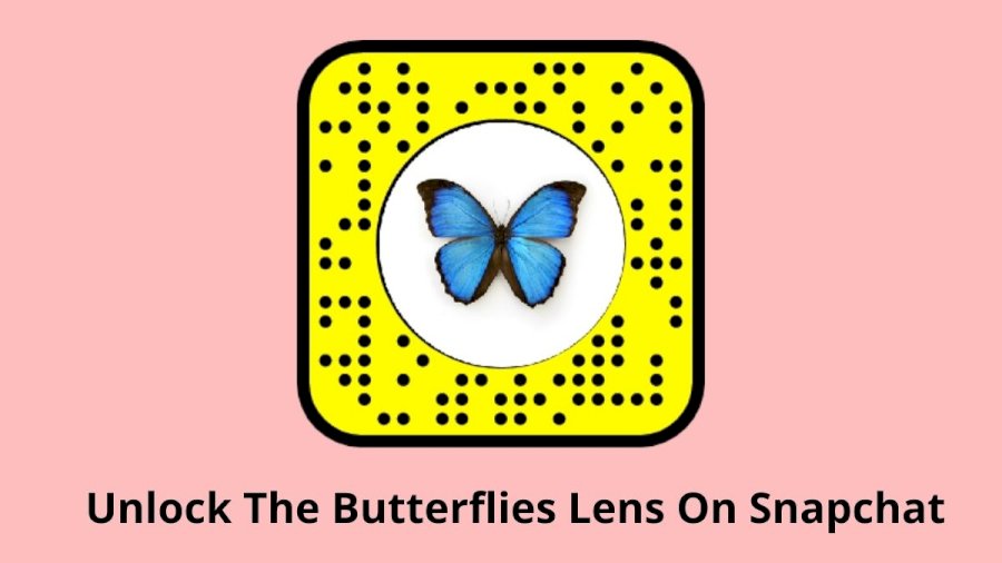 unlock the butterflies lens on snapchat